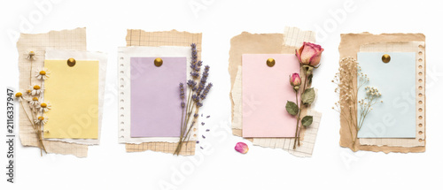Принти на полотні Set of four vintage collage layouts with grid paper blank notes and dried flower