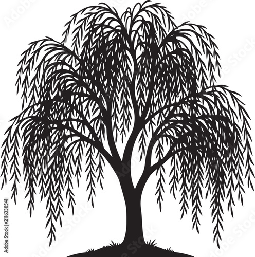 Konstfotografi Willow Tree Silhouette Icon