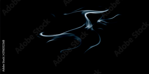 Silhouette of a Woman in Dress with Elegant Smoke Vector Design and Decorative Floral Light Pattern
