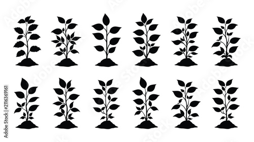 Plant icon set of small seedling growth collection with seedling