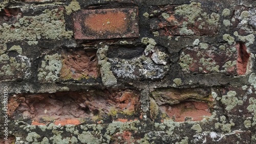 Foto Lichen Covered Bricks Highly deteriorated red clay blocks with white organic pat