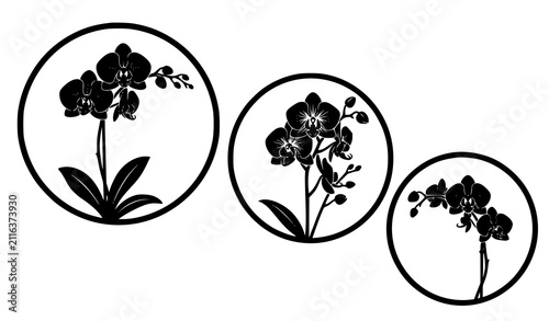 Bild auf Leinwand Modern minimalist black orchid flowers silhouette vector art composition with ab
