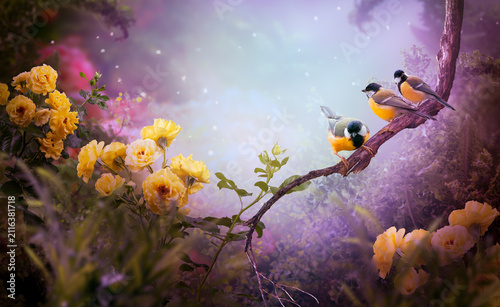 Tit birds sitting on tree branch and yellow rose flowers blooming in summer mystical garden, mysterious fairy tale dreamy violet floral background with flock of three cute songbirds perched on twig.