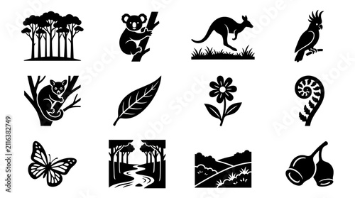 Photography Australian Wildlife and Nature Icons: Kangaroo, Koala, Cockatoo, Eucalyptus, For