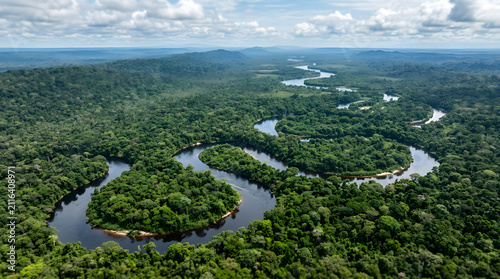 An breathtaking aerial view captures the majestic Amazon River as it gracefully winds through the dense, sprawling green canopy of the untouched tropical rainforest under a cloudy sky.