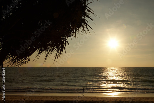 sunset on the beach with palm trees