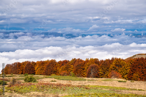 Fotografie Colorful autumn beech forest on mountain ridge above dense cloud inversion sea
