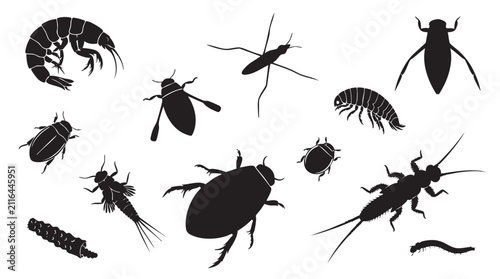 Aquatic insect and arthropod silhouettes vector collection.