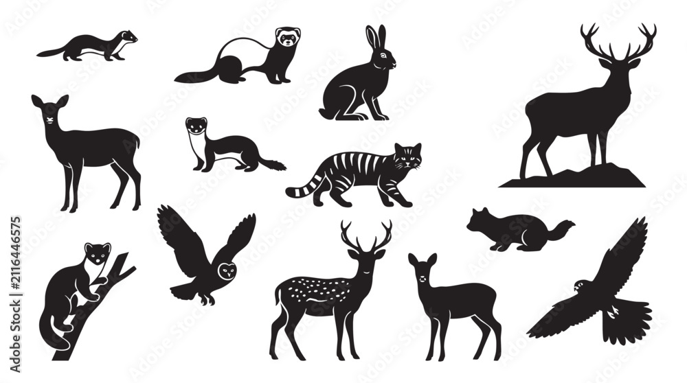 Fototapeta premium Wild forest animals and birds silhouette set for hunting and nature design.