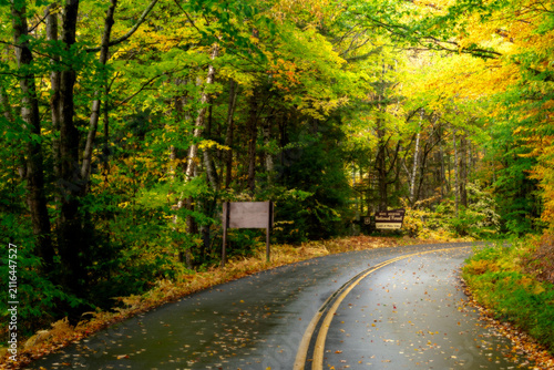 Autumn forest road, nature travel and seasonal beauty, fall foliage landscape