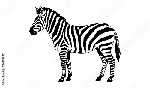 Photography Realistic Zebra Standing Side View Wildlife Animal Black and White Vector Illust