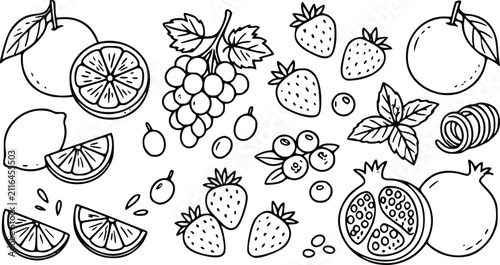 Hand drawn collection of various fresh fruits and berries in a simple black and white line art style for coloring books or food design projects