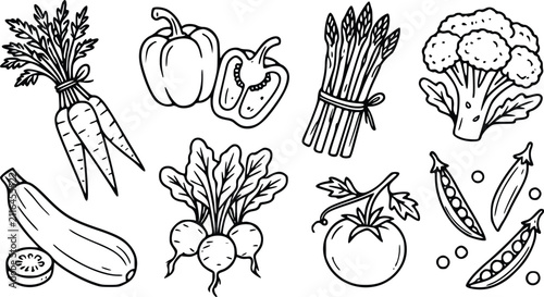 Set of hand drawn fresh vegetables including carrot pepper asparagus broccoli zucchini radish tomato and green peas for healthy food design