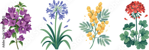 Bild auf Leinwand Mediterranean flower vector icon set featuring purple bougainvillea blue agapant