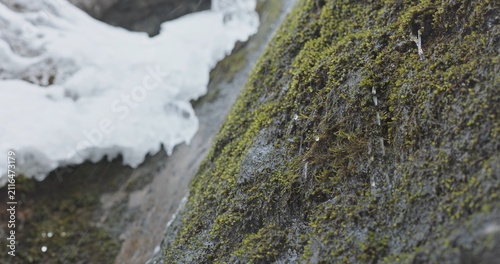 Rainwater falling on mossy ground with ice
