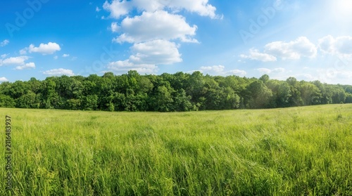 Nature scene featuring a green meadow with tall grass and a dense forest line beneath a blue sky with white clouds.