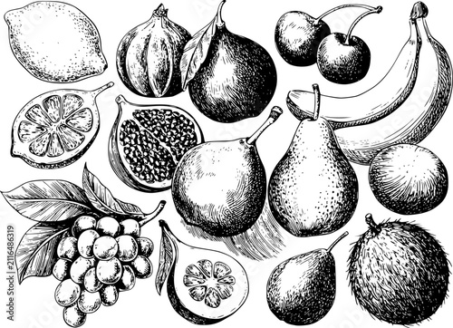 Bild auf Leinwand Una colección de frutas estilo vintage dibujadas a mano incluyendo uvas, plátano