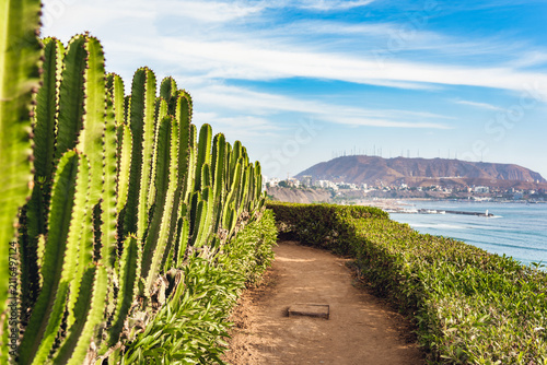 Coastal walkway with large cactus fence in Barranco, Lima