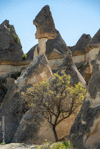 Cappadoce, cheminées de fée