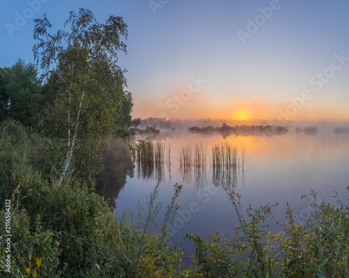 A beautiful sunrise illuminates a misty lake surrounded by lush green trees and wild vegetation, casting a warm golden glow over the calm water