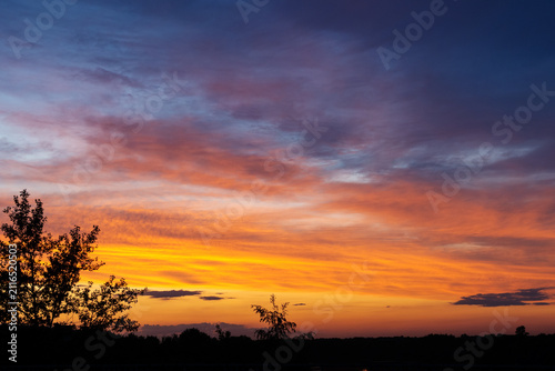 Colorful summer sunset sky , silhouettes of trees