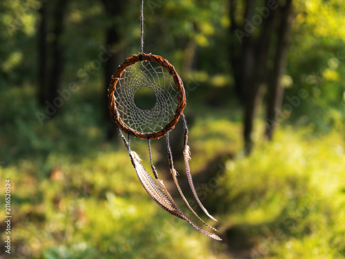 dreamcatcher woven from willow branches on a green background