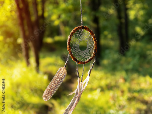 dreamcatcher woven from willow branches on a green background