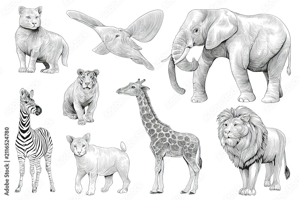 Obraz premium black and white animal clipart outline set