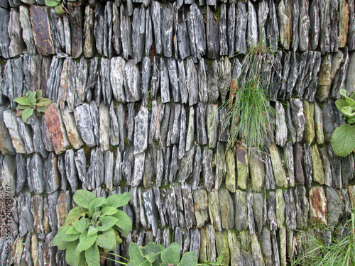 Foto an old slate wall with clumps of grass growing on it