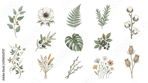 Hand Drawn Botanical Illustration Collection with Various Plants.