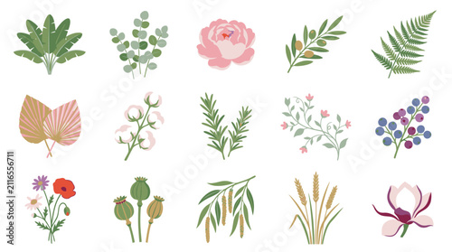 Colorful Illustrated Collection of Various Plants and Flowers.