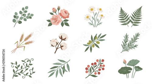 Colorful botanical illustration collection of flowers and leaves.