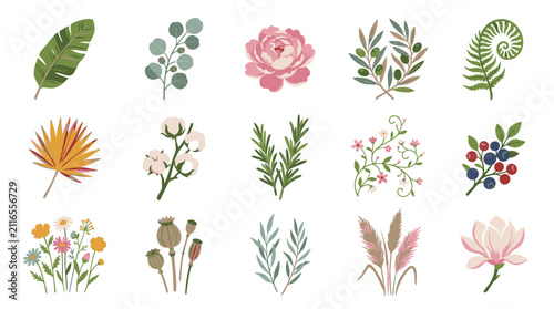 Colorful Illustrated Collection of Flowers and Leaves.