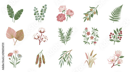 Colorful botanical illustration collection with leaves and flowers.