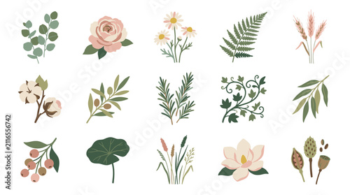Colorful Illustrated Botanical Flower and Leaf Collection.