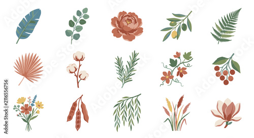 Colorful Illustrated Botanical Elements Collection.