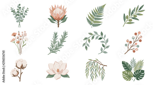 Colorful botanical illustration collection with diverse plants and flowers.