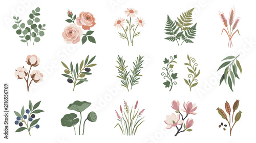 Hand Drawn Botanical Floral Illustrations Collection.