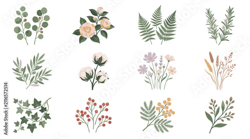 Hand Drawn Botanical Illustrations of Various Plants and Flowers.