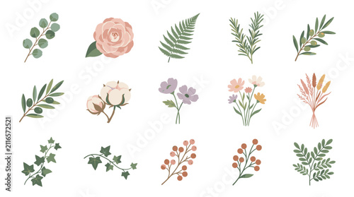 Colorful Illustrated Botanical Floral Collection Set.
