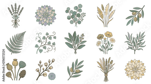 Diverse Botanical Illustrations in Minimalist Style.