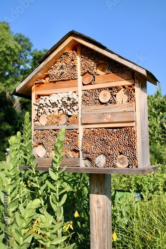 Wooden bee house 