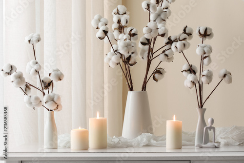Cotton branches in white va...
