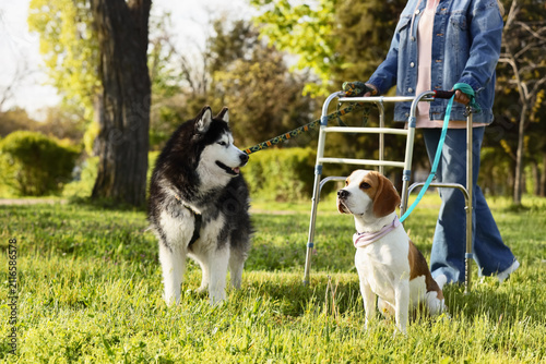 Mature woman with cute dogs...