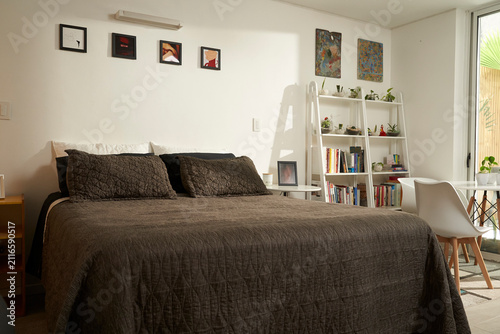 Cozy modern bedroom with white walls and natural light