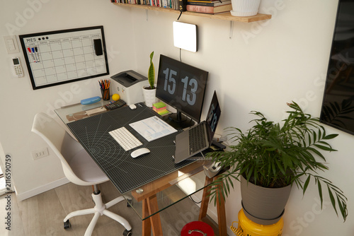 Modern home office desk with dual monitors and indoor plants