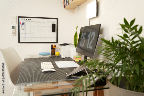 Minimalist home office workspace with computer and indoor plants