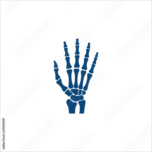 Foto Skeleton Hand Bones Human Anatomy Vector Icon
