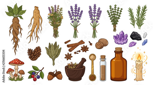 An organized display of mystical and herbal ingredients, including mandrake roots, lavender bundles, various crystals, and a lit candle, are carefully arranged on a white background.