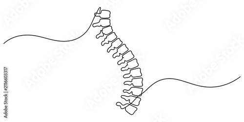 Continuous single line drawing of human spine showing vertebral column bones as a simple medical illustration for health and back pain therapy clinics Vector, illustration
